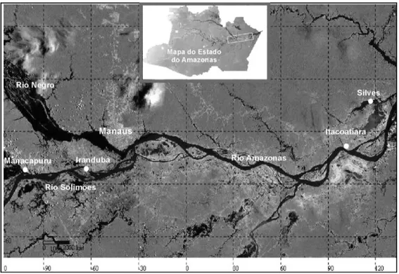 Figura 1 - Imagem de satélite, da calha principal dos rios solimões/Amazonas, demonstrando a localização dos quatro municípios visitados para amostragem 