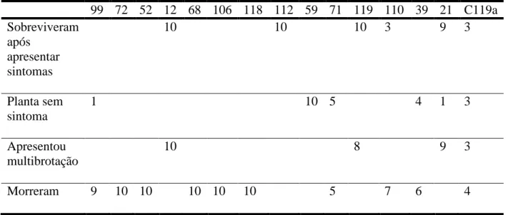 Tabela  IIb.  Relação  do  número  de  plantas  e  a  reação  dentro  das  15  linhagens  transgênicas  de  feijão-caupi  após  um  mês  de  pulverização  com  200g/ha  do  herbicida imazapyr
