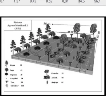 Figura  1   -   Croqui  do  sistema  agroflorestal  com  castanha-do-brasil,  implantado  em  área  de  pastagem  abandonada