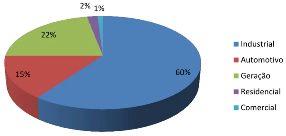 Figura 4. Participação das Vendas de Gás Natural por Tipos de Uso  –  2007 