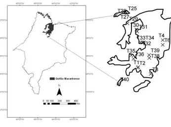 Figura 1 - Localização do Golfão Maranhense no Estado do Maranhão. 