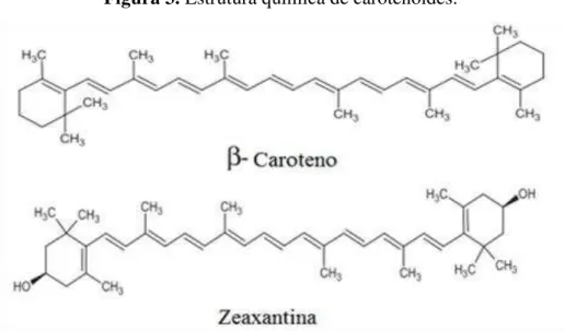 Figura 3. Estrutura química de carotenoides. 
