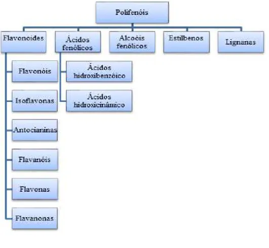 Figura 4. Classificação dos compostos fenólicos. 