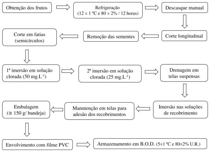 Figura 1 -  Fluxograma de processamento mínimo. 