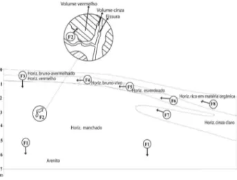 Figura  2  -  Frentes  de  transformação  dos  horizontes  de  solo  na  toposseqüência