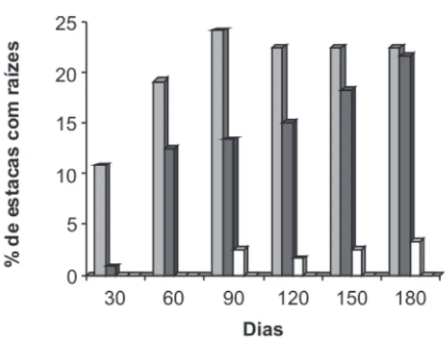 Figura 4 - Efeito dos tipos de estacas na emissão de raízes até 180 dias, em  estacas de castanha-de-cutia (Couepia edulis)