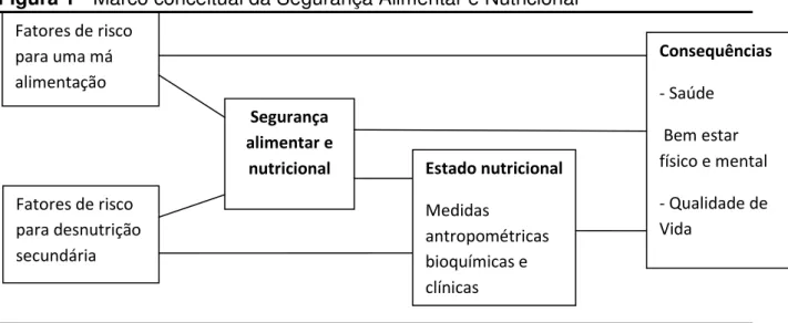 Figura 1 - Marco conceitual da Segurança Alimentar e Nutricional 