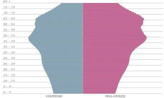 Figura 2 - Distribuição da população brasileira por faixas etárias no ano de 2050. 