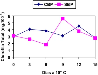 Figura 10. Clorofila total (mg.100 -1 ) em mangas ‘Tommy Atkins’ orgânica colhidas sob  Boas Práticas Agrícolas (CBP) e sem Boas Práticas Agrícolas (SBP),durante o  armazenamento sob refrigeração 10± 5ºC e 90±1%  (Areia, 2005)