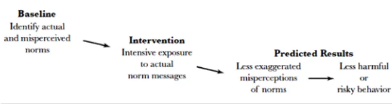 Figure 1. Perkins’ model of social norms approach to prevention (reproduced from Perkins 2003, 11)