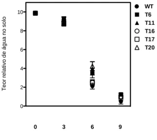 Figura 8: Teor relativo de água no solo durante o período do estresse hídrico. Não houve diferenças  significativas pelo teste de Tukey (P &lt; 0,05)