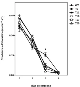 Figura  11:  condutância  estomática  das  linhagens  WT  e  transformadas  de  plantas  de  tabaco  após  período de estresse hídrico