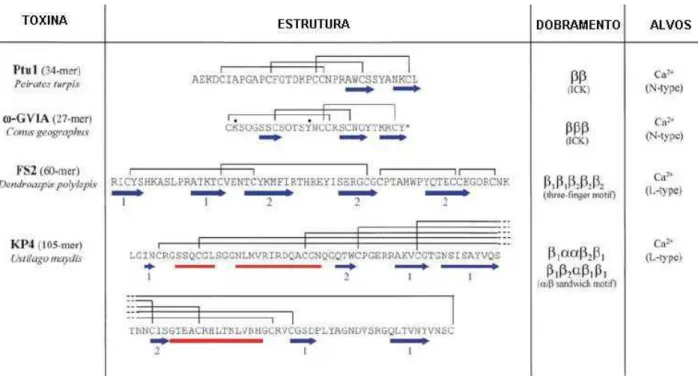 Figura  8:  Dados  estruturais  e  farmacológicos  das  toxinas  animais  que  agem  nos  canais  Ca v 