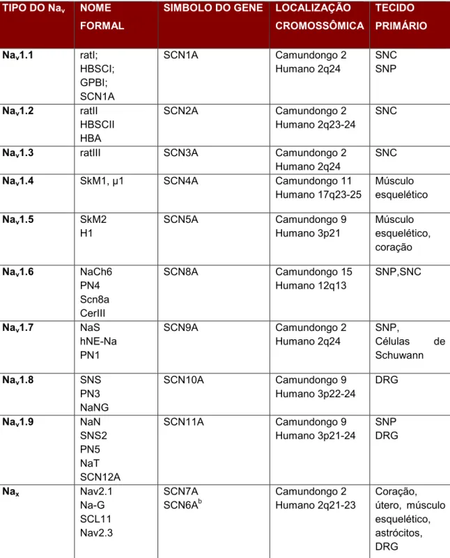 Tabela 2: As subunidades α dos Canais para Sódio de Mamíferos 