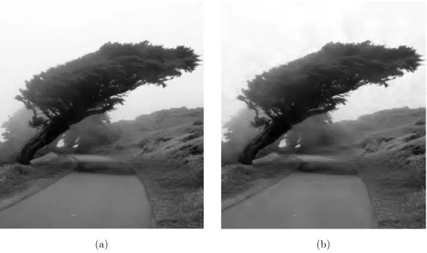 Figure 2.1: Sparse approximation of a natural image. (a) Original image (b) Approximation of the image, obtained by keeping only the largest 10% of the wavelet coefficients [1].