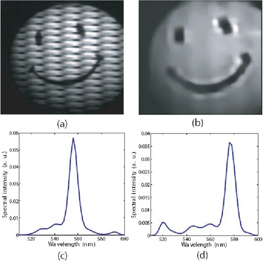Figure 17 – Experimental results from simple targets with narrow-band illumination. (a) Detector image  recorded for illumination with a 10 nm full width at half maximum (FWHM) bandpass filter centered at  560  nm  –  note  the  modulation  introduced  by 
