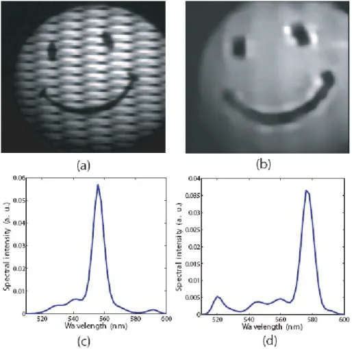 Figure 17 – Experimental results from simple targets with narrow-band illumination. (a) Detector image  recorded for illumination with a 10 nm full width at half maximum (FWHM) bandpass filter centered at  560  nm  –  note  the  modulation  introduced  by 