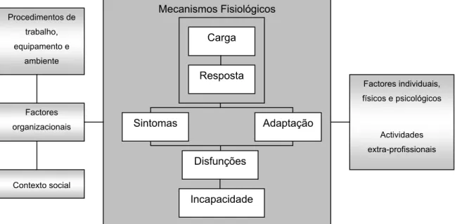 Figura nº 3: Modelo conceptual dos mecanismos fisiológicos e factores contributivos de LMELT  (NRC, 1999) 