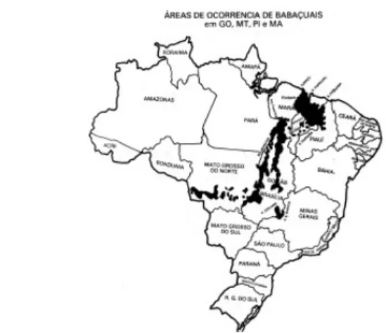 Figura 1 - Distribuição geográfico dos babaçuais no Brasil (MIC/STI, 1982).