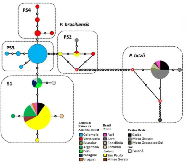 Figura  3:  Mapa  de  distribuição  geográfica  do  gênero  Paracoccidioides.  Figura  retirada  de  Teixeira  et  al., 2014  com  adaptações 