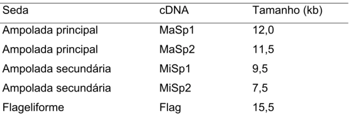 Tabela 4. Tamanhos dos mRNAs das sedas de N. clavipes   