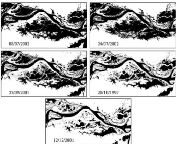 Figura 2 - Mudança sazonal da área do Lago de Curuai entre julho e