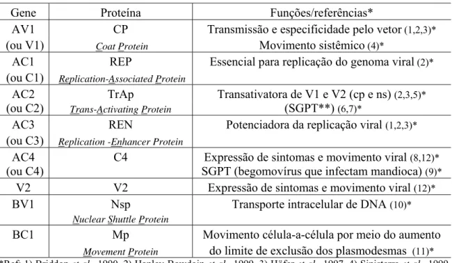 Tabela 2 - Funções conhecidas de proteínas codificadas por espécies de Begomovirus. 