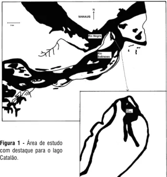 Figura 1 - Área de estudo