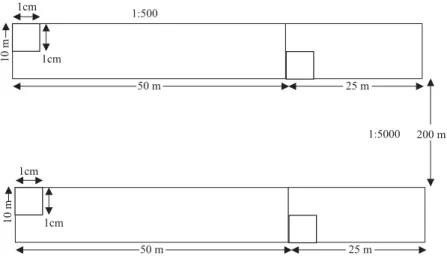 Figura 1 - Croqui resumido dos transectos de 500 x 10 m mostrando a demarcação das sub-parcelas de 5 x 5 m no interior de 20 parcelas de 50 x 10 m.