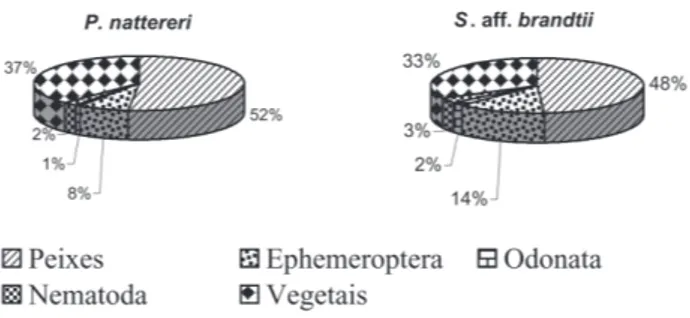 Figura 1 -  Composição percentual da dieta de P. nattereri (n = 150) e S. aff. brandtii (n = 99) no Lago de Viana entre abril de 1998 e fevereiro de 1999.