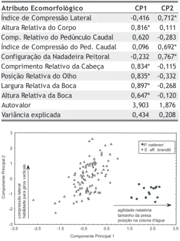 Figura 5 -  Distribuição dos escores individuais de S. aff. brandtii (n = 80) e P. nattereri (n = 30) no espaço dos dois primeiros componentes principais.