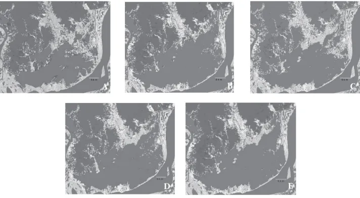 Figura 4 -  Mapas temáticos gerados a partir da classificação. AZUL CLARO= plantas aquáticas; AMARELO=floresta alagada; LARANJA=floresta não alagada sazonalmente; VERDE=floresta de “terra firme” (floresta, pasto e cerrado); AZUL= água.