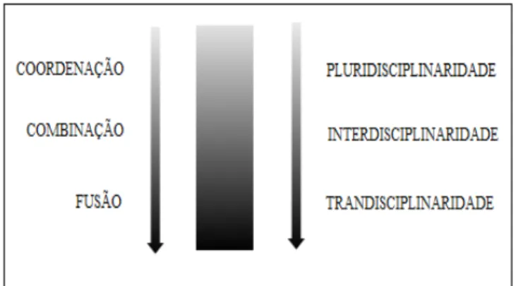 Figura 1  –  Continum de integração disciplinar 