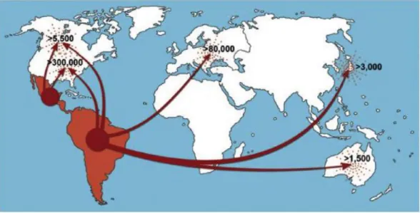 Figura  1.  Distribuição  geográfica  de  indivíduos  infectados  por  Trypanosoma  cruzi  (SCHMUNIS; 