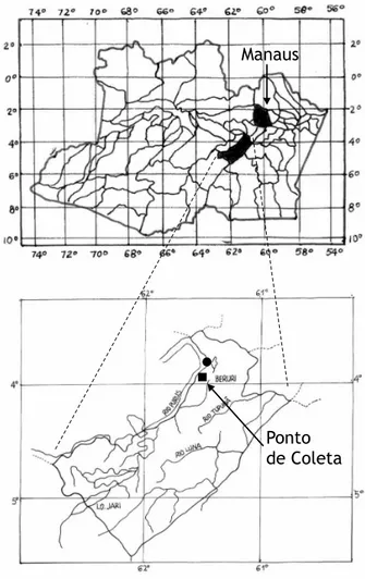 Figura 1 - Localização do Município de Beruri, Estado do Amazonas, Brasil.