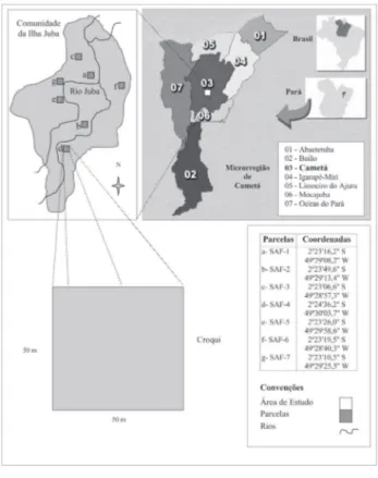 Figura 1 - Localização da área de estudo e croqui esquemático das parcelas amostrais estudadas nas várzeas do rio Juba, baixo Tocantins - Cametá, Pará.