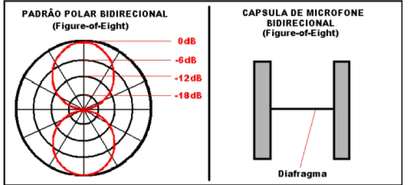 Figura 05 – Padrão Polar Bidirecional (Figure-Of- Eight). 