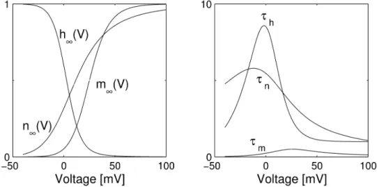 Figure 2.2. Voltage-dependent functions of the Hodgkin-Huxley model.