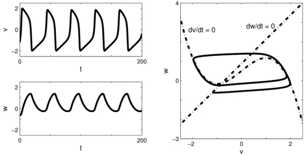 Figure 2.4. FitzHugh-Nagumo dynamics after injection of a constant cur- cur-rent I = 0.4