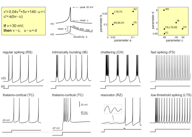 Figure 2.5. Different firing patterns as a result of the choice of the model’s four parameters