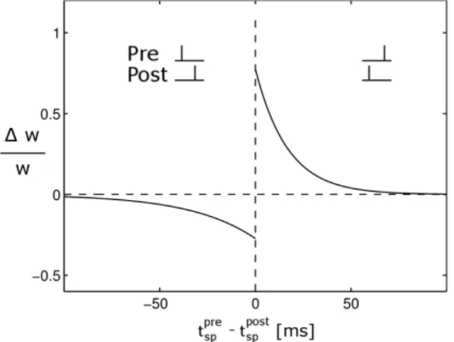 Figure 4.1. Spike Timing Dependent Plasticity. Depending on the pre- pre-cise time difference between a pre- and a postsynaptic spike t pre sp − t postsp 