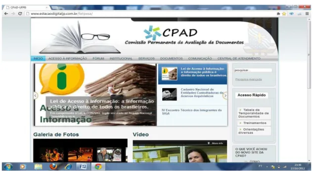 Figura 3 - Interface do  website