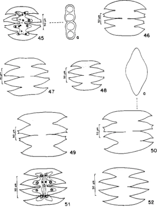 Figura  45-50. Micrasterias laticeps var. laticeps f. laticeps; a: vista lateral; b: vista apical