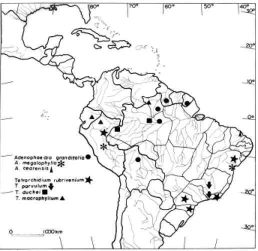 Figura  8 -  Distribuição geográfica atual das espécies brasileiras de Adenophaedra e Tetrorchidium.