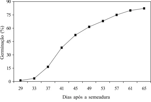 Figura 3 - Germinação de sementes de Couratari stellata com 17,1% de umidade.