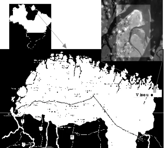 Figura 1 - Localização da área de estudo. Área de Proteção Ambiental Jabotitiua-Jatium, município