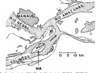 Figura 2. Flutuaηυes do nνvel do rio Negro em cotas sobre o nνvel do mar (a.n.m.) fornecidas  pela PORTOBRAS, Capitania dos Portos Manaus, para os anos de 1998 e 1999. 