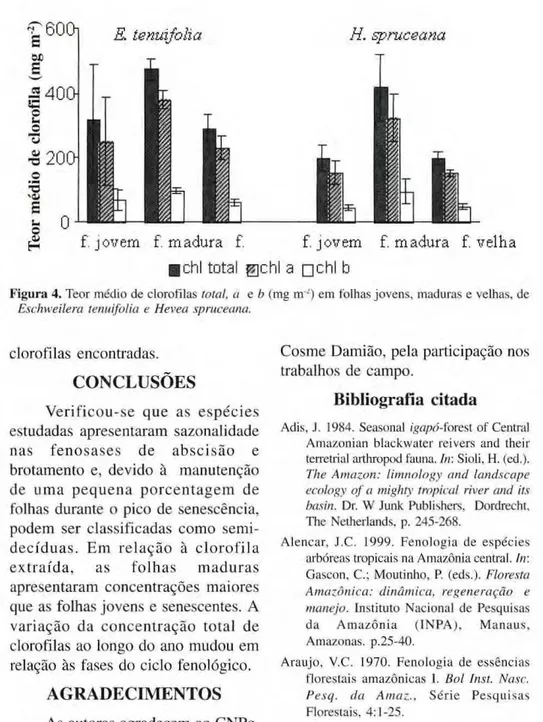 Figura 4. Teor médio de clorofilas total, a e b (mg m  0  em folhas jovens, maduras e velhas, de  Eschweilera tenuifolia e Hevea spruceana