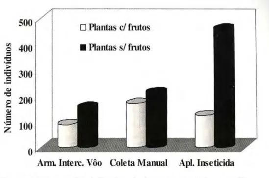 Figura 7. Número de indivíduos de Coleoptera coletados em plantas de Theobroma grandiflorum 
