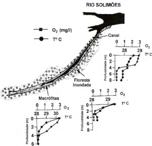 Figura 2. Perfis verticais de oxigênio e temperatura no Lago Camaleão no período de coleta